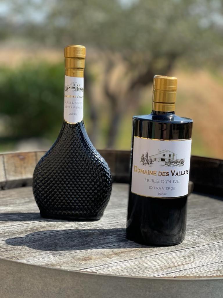 T2 Au Coeur Des Vignes * Cogolin