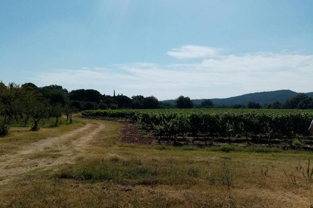 Apartment T2 Au Coeur Des Vignes Cogolin