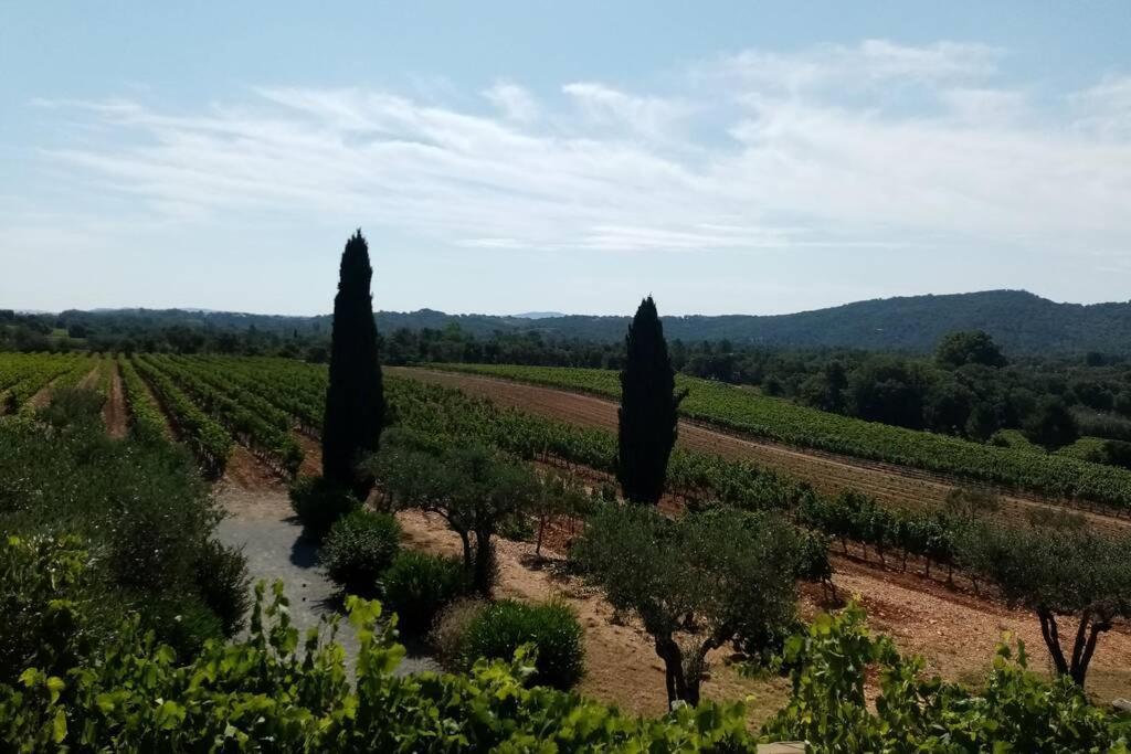 T2 Au Coeur Des Vignes *