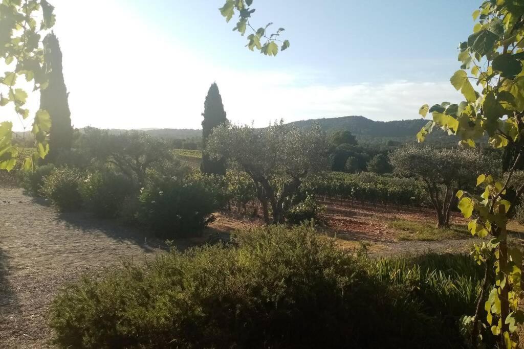 Apartment T2 Au Coeur Des Vignes Cogolin