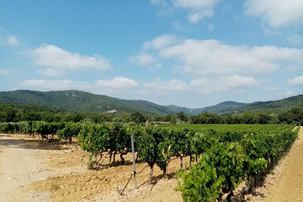 T2 Au Coeur Des Vignes Appartamento *
