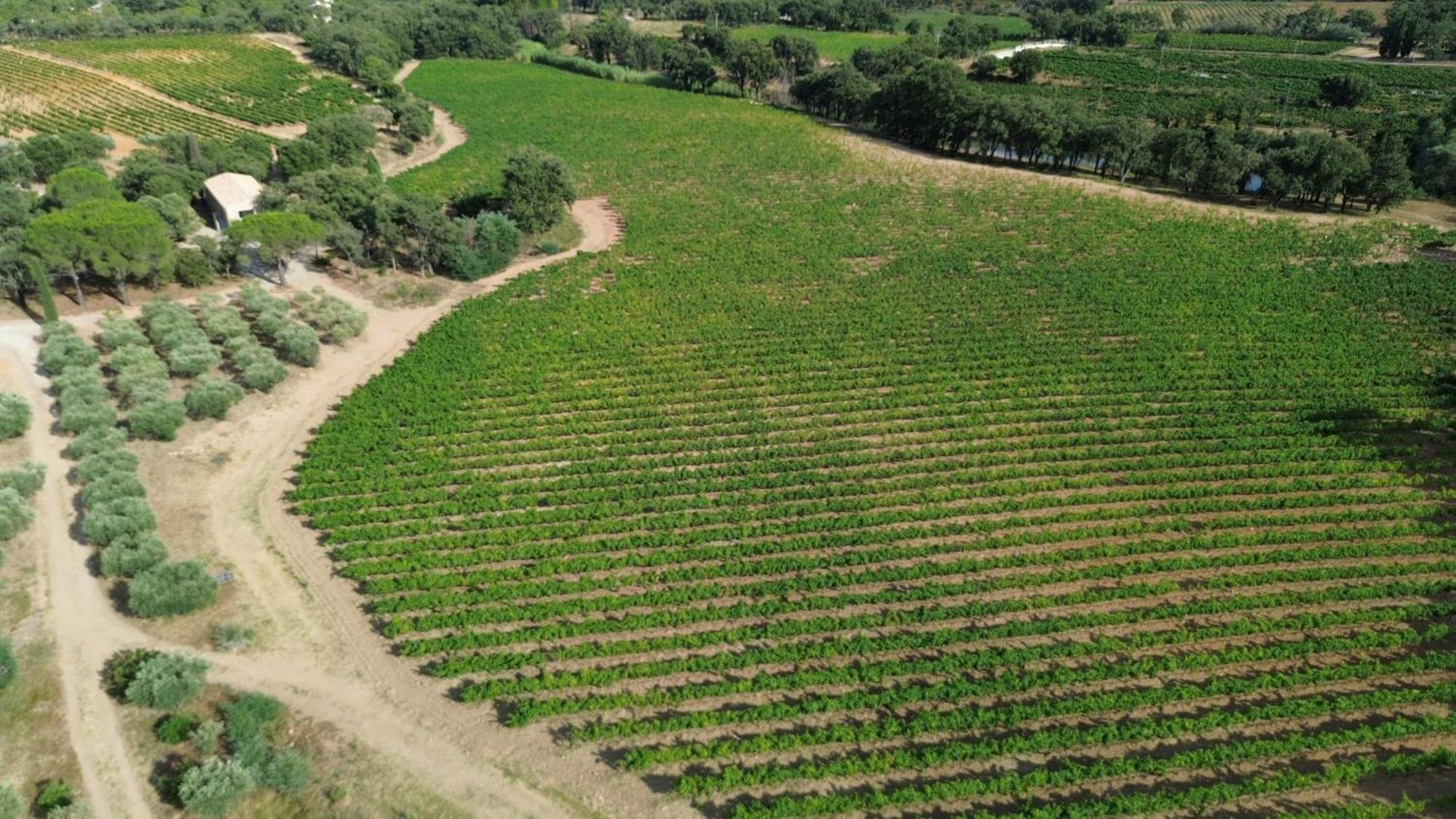 Appartamento T2 Au Coeur Des Vignes *